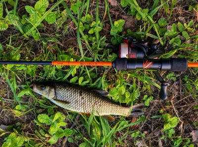 Fishing rod and line with a small fish on green grass, with lure hook