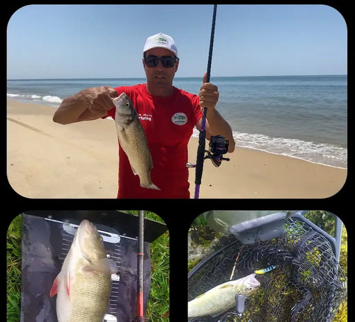 Fishing rod with purple shaft held on beach near shoreline, with caught fish