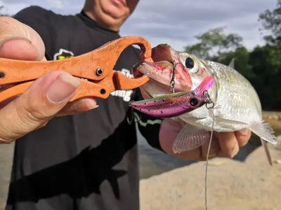 Sinking minnow lure with pink and silver body and green accents, with treble hooks