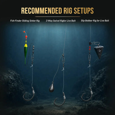 Fishing rig assortment showing multiple hooks and sinkers on lines with swivels