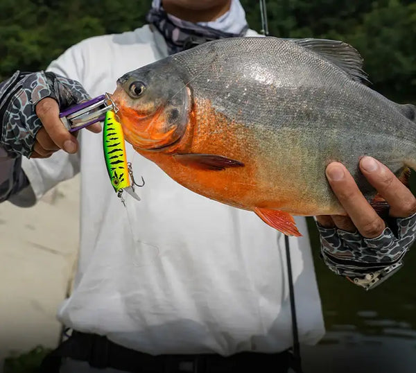 Fishing lure attached to fish: orange-and-silver micro fish scales crankbait with green accent