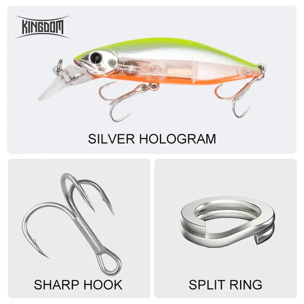 Single slow-sinking minnow lure with holographic silver pattern, sharp treble hook, split ring