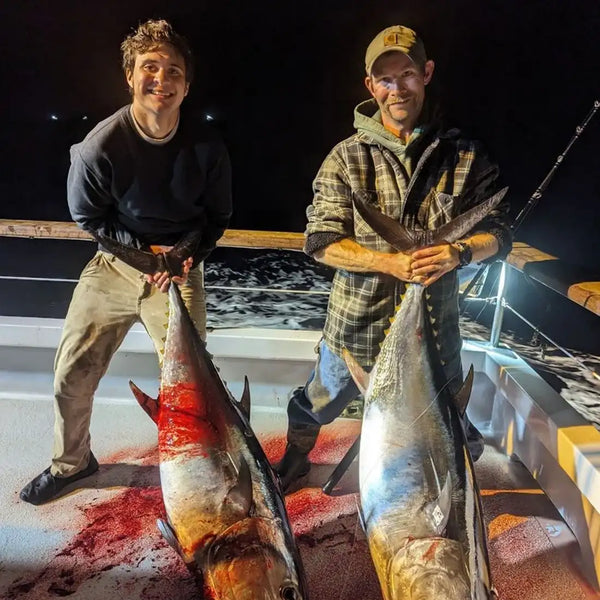 Live bait hooks on lines held near large caught fish at the dock