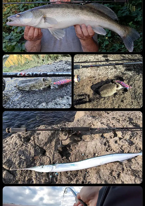 Spinning rod used with a lure, while landing a caught fish on rocks