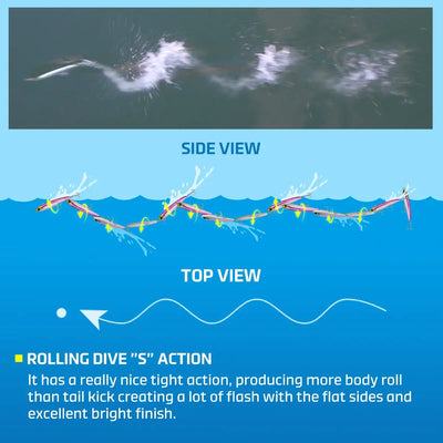Floating stickbait rolling dive S action, side and top view lure illustration
