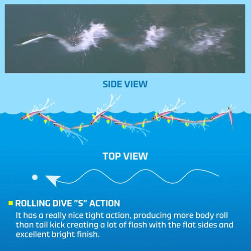 Floating stickbait rolling dive S action, side and top view lure illustration