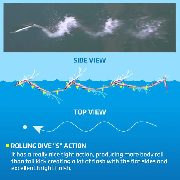 Floating stickbait rolling dive S action, side and top view lure illustration