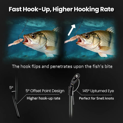 Offset circle fishing hook with upturned eye, shown with bait and line