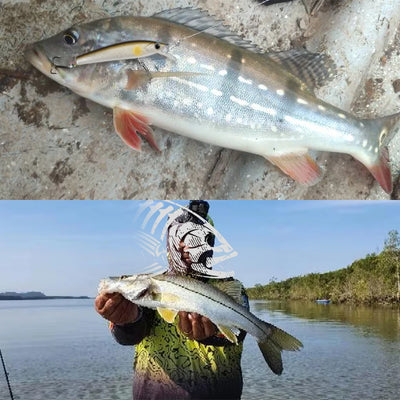 Fish holding a small silver pencil lure with treble hooks
