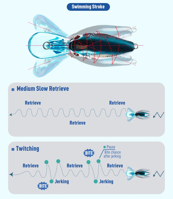 Crankbait swimming action diagram with internal cutaway and retrieve motion lines