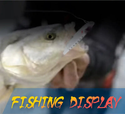Topwater popper lure held by a fish, blurred action shot
