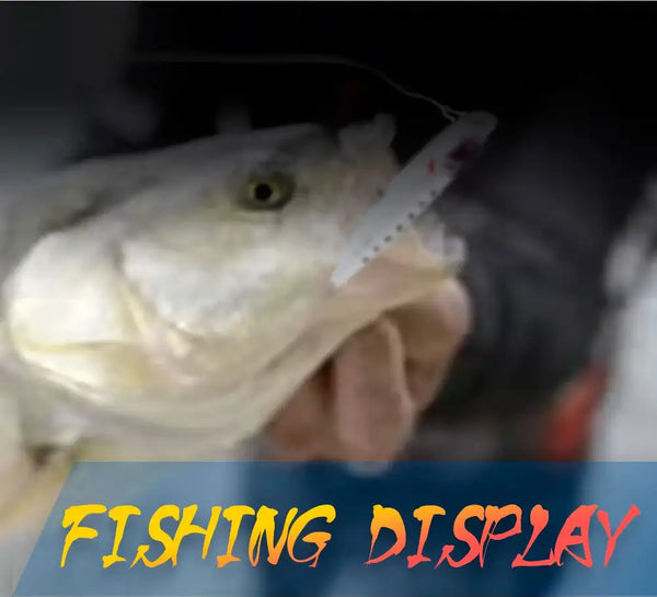 Topwater popper lure held by a fish, blurred action shot