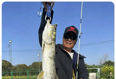 Spinning fishing rod held while landing a large silver fish by the water