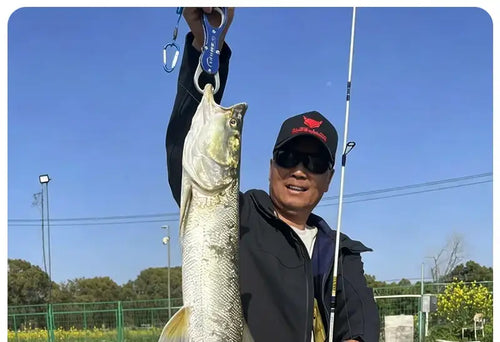 Spinning fishing rod held while landing a large silver fish by the water