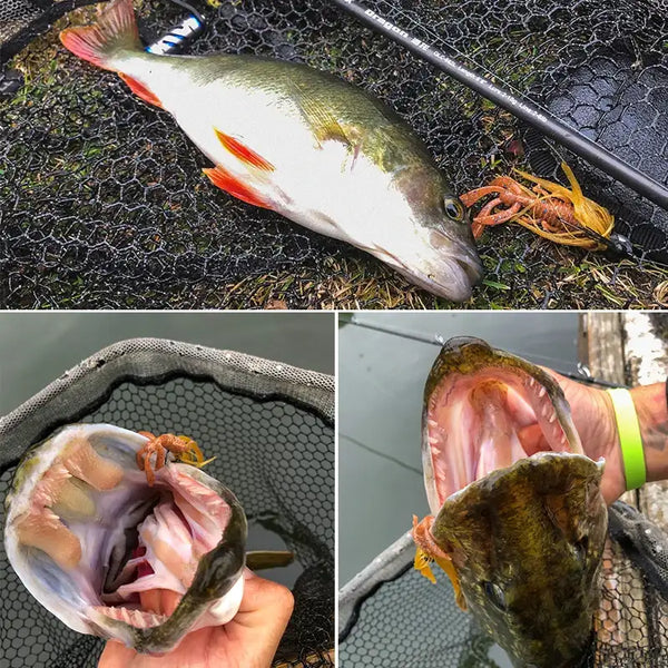 Green-yellow fish with orange shrimp soft bait hooked, showing bait and teeth