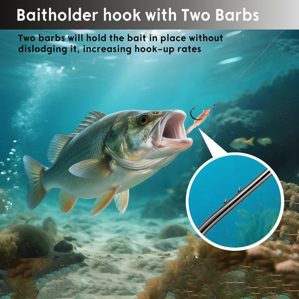 Baitholder circle fishing hook with two barbs to hold bait in place