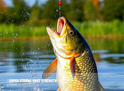 Freshwater carp with visible fishing line near the hook, splashing water action