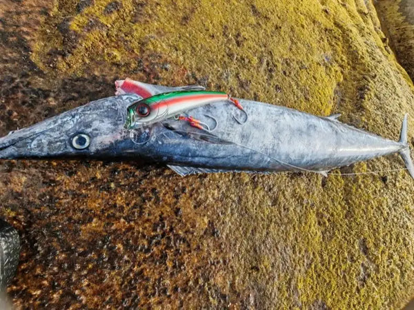 Silver and red fishing popper lure with front lip and treble hook on rocky surface