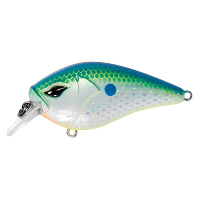 Green and white crankbait lure with dotted pattern, blue back, and silver belly