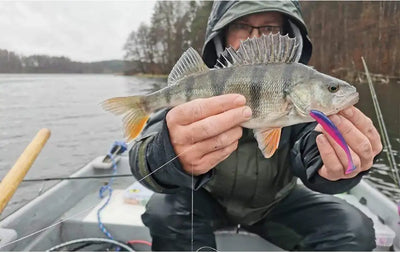 Angler holding a fish outdoors, with a pink soft lure near the mouth.
