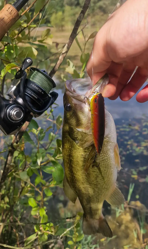 Spinning fishing reel used while fishing, black reel in hand near baited hook.