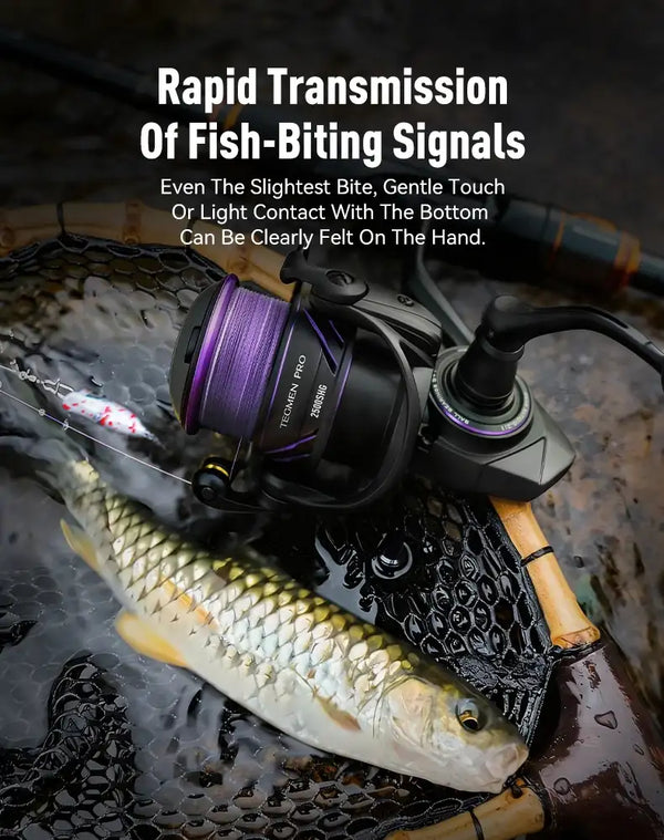 Braided fishing line on spinning reel with purple line on a fish