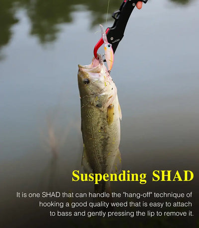 Suspending minnow lure held with fish grip, showing pink-and-yellow body