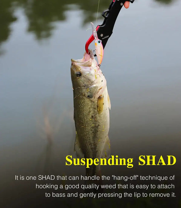 Suspending minnow lure held with fish grip, showing pink-and-yellow body