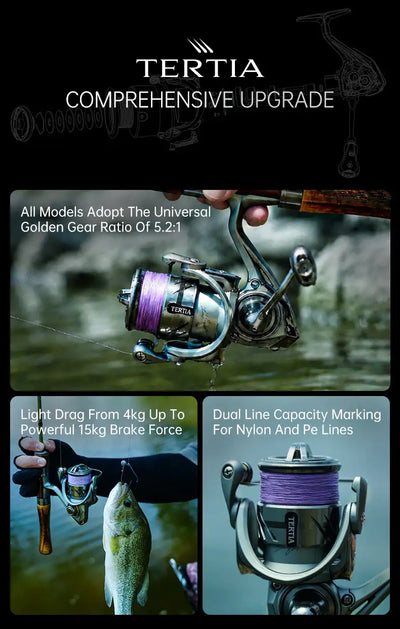 Kingdom TE Spinning Fishing Reel | 1000–5000