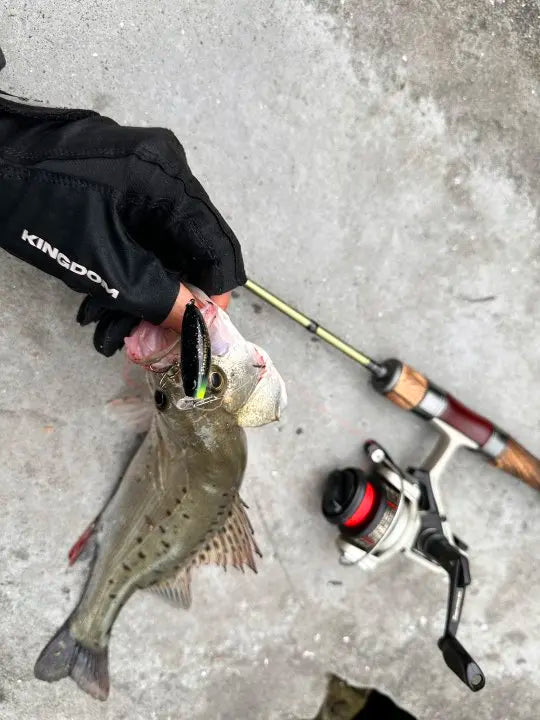 Fish holding a small micro minnow fishing lure with treble hook