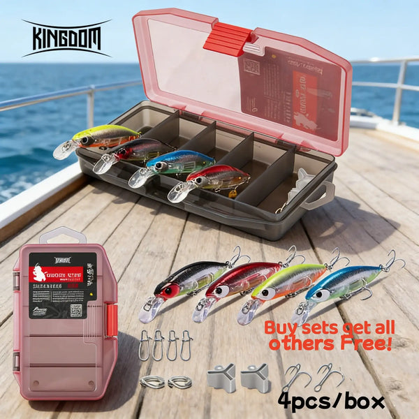4-piece slow-sinking minnow lure combo in mixed colors with clear lip hooks and storage case