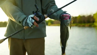 Angler holding a fishing rod with a spinnerbait lure catching a bass