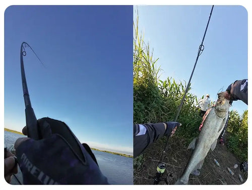 Spinning fishing rod angled over shoreline vegetation, with a caught fish displayed