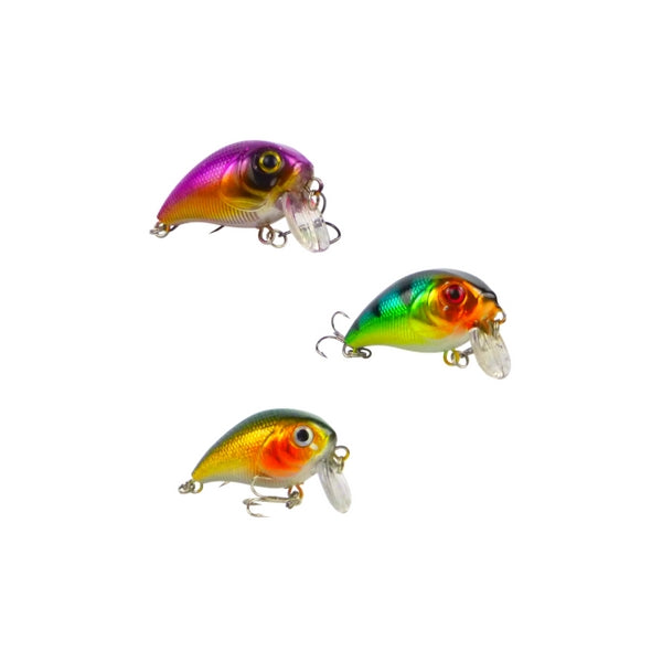 Set of three multicolor crankbait fishing lures with clear lips and treble hooks
