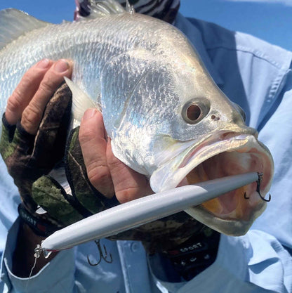 Silver fish held with a gray crankbait lure and treble hooks